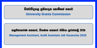 management-assistant-audit-assistant-university-grants-commission