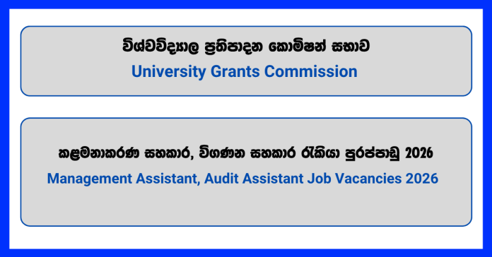 management-assistant-audit-assistant-university-grants-commission management-assistant-audit-assistant-university-grants-commission
