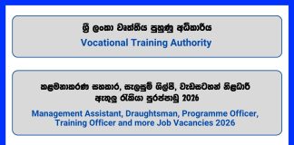 management-assistant-draughtsman-programme-officer-training-officer-director-vocational-training-authority