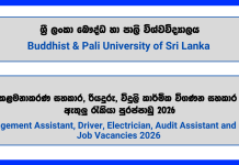 management-assistant-driver-electrician-audit-assistant-buddhist-pali-university-of-sri-lanka