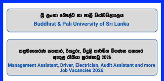 management-assistant-driver-electrician-audit-assistant-buddhist-pali-university-of-sri-lanka