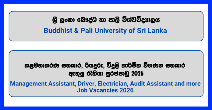 management-assistant-driver-electrician-audit-assistant-buddhist-pali-university-of-sri-lanka