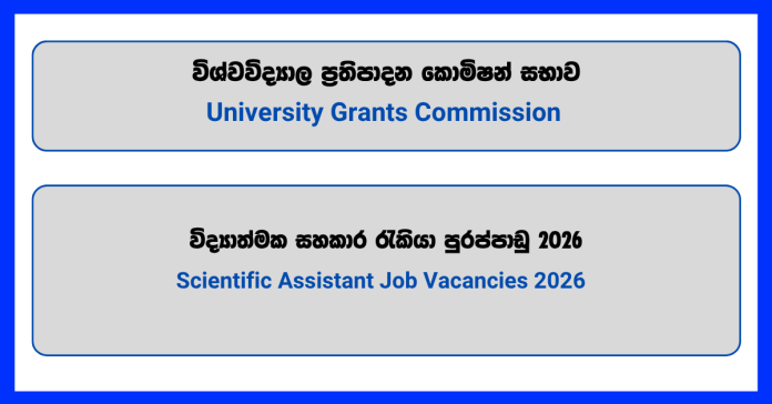 scientific-assistant-university-grants-commission