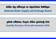 quantity-surveyor-driver-national-water-supply-and-drainage-board-